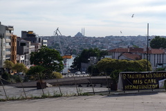 DSCF7443