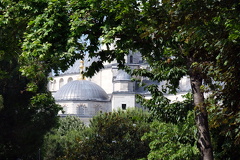 DSCF7458