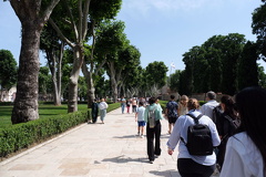 DSCF7461