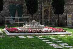 DSCF7467