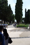 DSCF7468