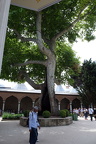DSCF7475