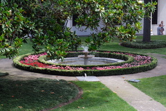 DSCF7481