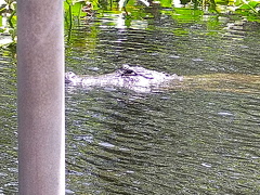 IMG 20230723 115624