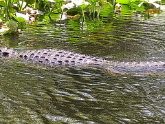 IMG 20230723 115627
