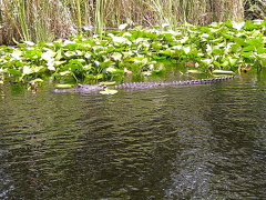 IMG 20230723 115714