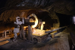 DSCF0441